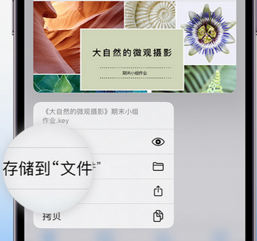 乌拉特前apple维修中心分享iPhone文件应用中存储和找到下载文件