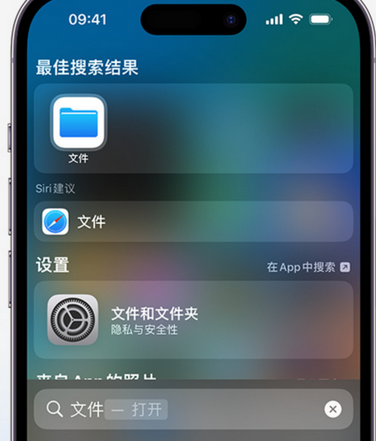 乌拉特前apple维修中心分享iPhone文件应用中存储和找到下载文件 