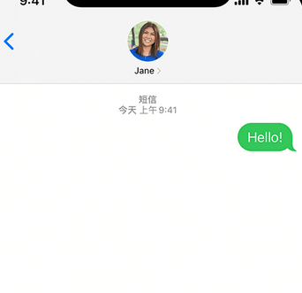 乌拉特前apple维修iPhone上无法正常发送iMessage信息