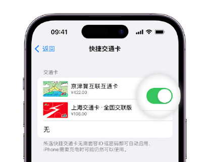 乌拉特前apple维修点分享iPhone上更换Apple Pay快捷交通卡手绘卡面 