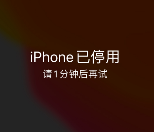 乌拉特前苹果手机维修分享:iPhone 显示“不可用”或“已停用”怎么办？还能保留数据吗？ 