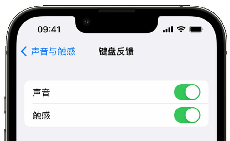 乌拉特前苹果手机维修分享iPhone 14触感键盘使用方法 