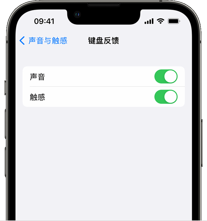 乌拉特前苹果14维修店分享如何在 iPhone 14 机型中使用触感键盘 