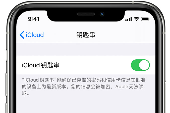 乌拉特前苹果手机维修分享在 iPhone 上开启 iCloud 钥匙串之后会储存哪些信息 